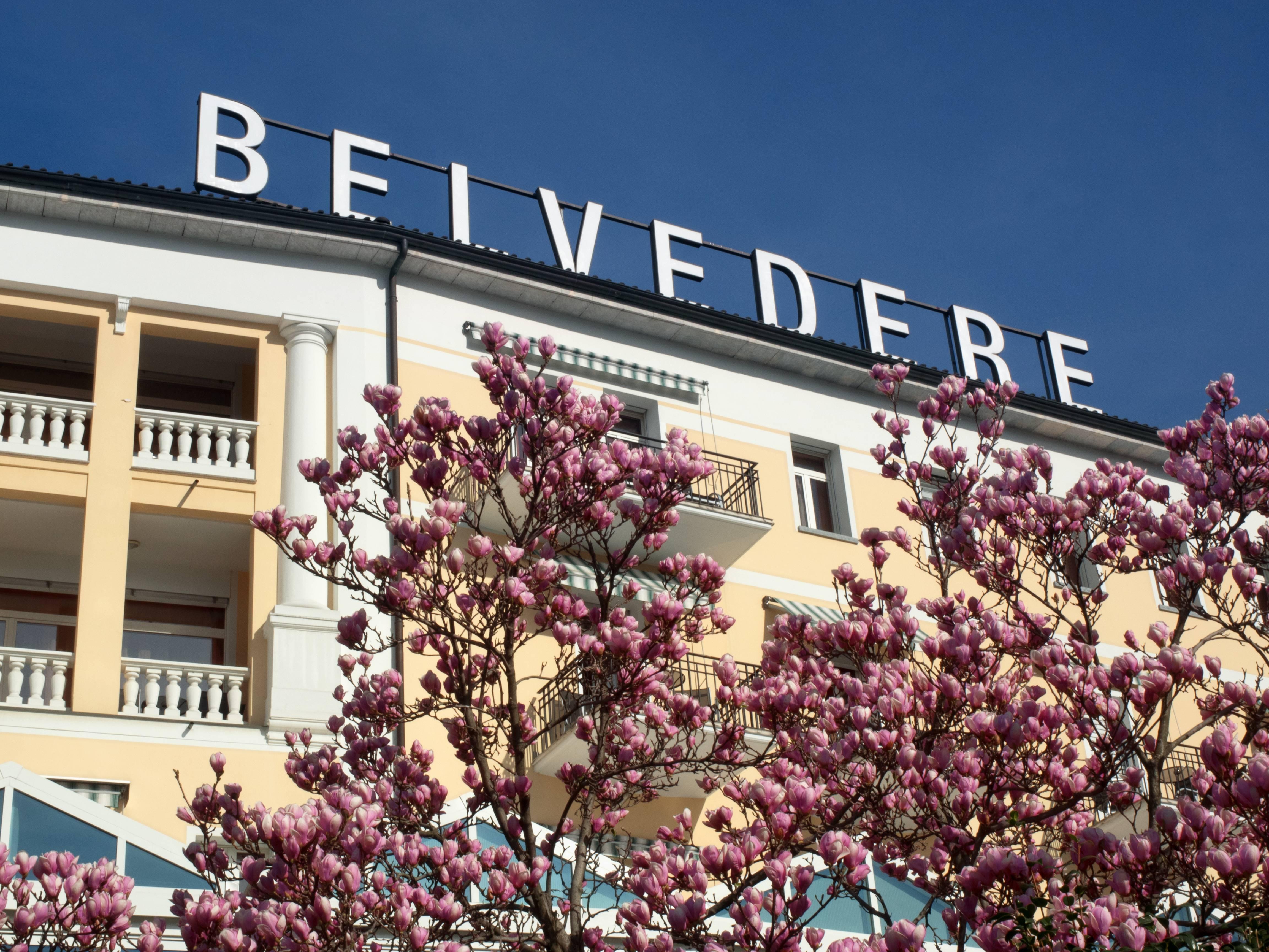 Belvedere